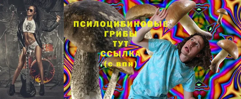 Псилоцибиновые грибы Cubensis  Долинск 